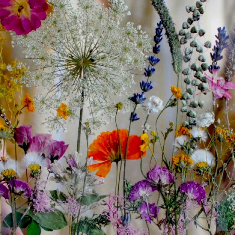 Meet your Posher, Carol